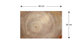 TS64_30008_4.png