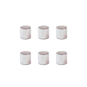 Zestaw 6 szt magnesów neodymowych WALCE 10x10 mm