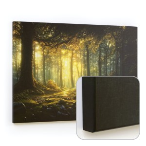 Tablica magnetyczna CANVASboards 90x60 cm -  obraz  Baśniowy las