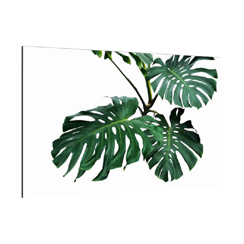 TS96_40006_500x500 kopia 2.png