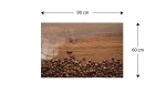 TS96_40015_4.png