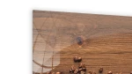 TS96_40015_5.png