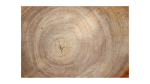 MB96_00008_8.png