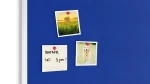 TF1512N_5.webp
