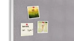 TF1512S_5.webp