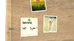 TK96D_00029_4.webp