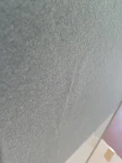 IMG_20230606_091513.jpg