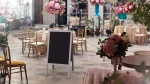 PK96GRAY_8.webp