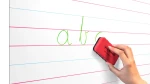 MKS-G_12PCS_6.webp