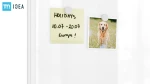 ELINE96_6.webp
