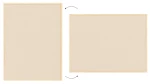 TFCAMEL129C_7.webp